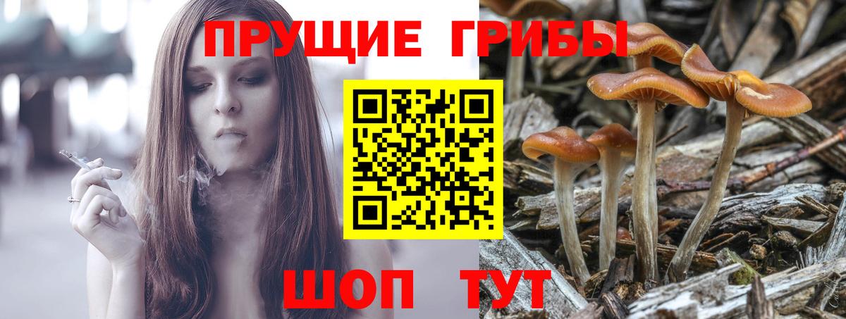 Псилоцибиновые грибы Psilocybine cubensis  магазин продажи наркотиков  Лобня  Вход с VPN 